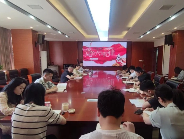 恪守“六大紀(jì)律”，筑牢思想根基--市古鎮(zhèn)投資公司行政黨支部組織開展黨記學(xué)習(xí)教育專題黨課